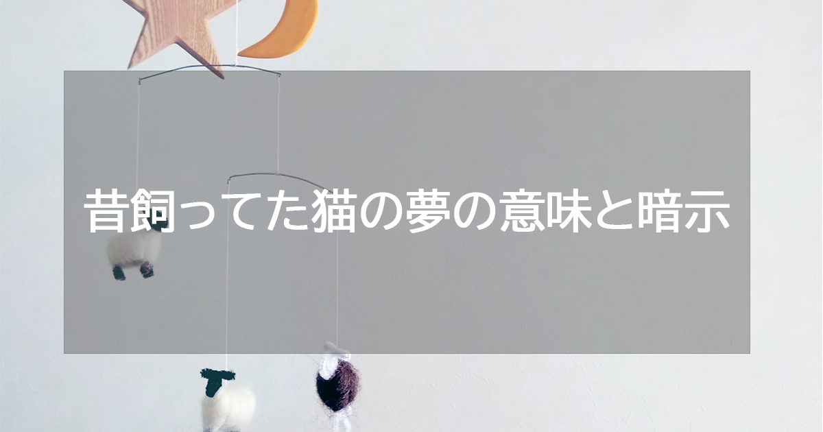 昔飼ってた猫の夢の意味と暗示